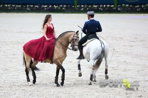 2024-06-29 CHIO Aachen Pferd und Sinfonie