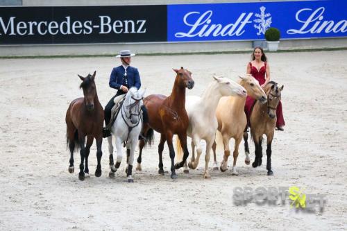 2024-06-29 CHIO Aachen Pferd und Sinfonie